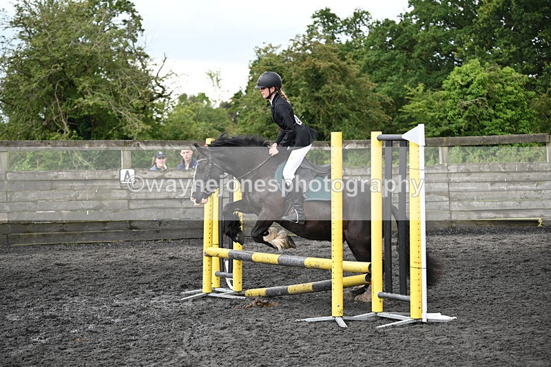 WJ6_0059 - Class 13 Novice 60cm