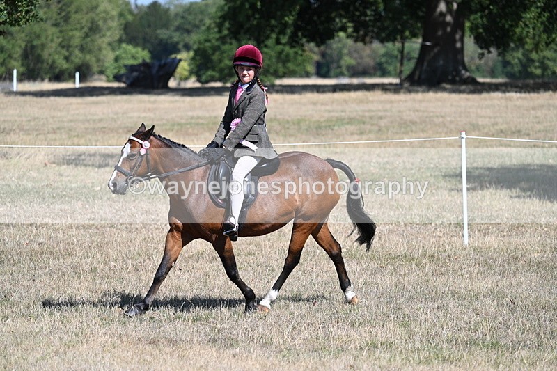 WJ7_4253 - Class 9 Mountain & Moorland Ridden