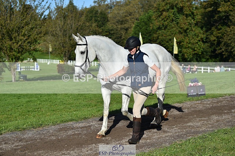 231022-110238-23682 - 509-WOODLANDS.SILVER.CLOUD-Karen.Cowling-TrotUp+SJ