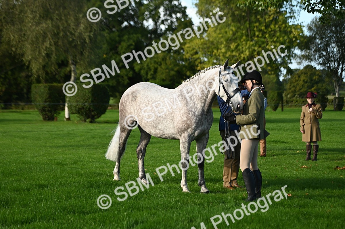 SBM_14733 - S1 - TSR in Hand Horse & Pony Showing