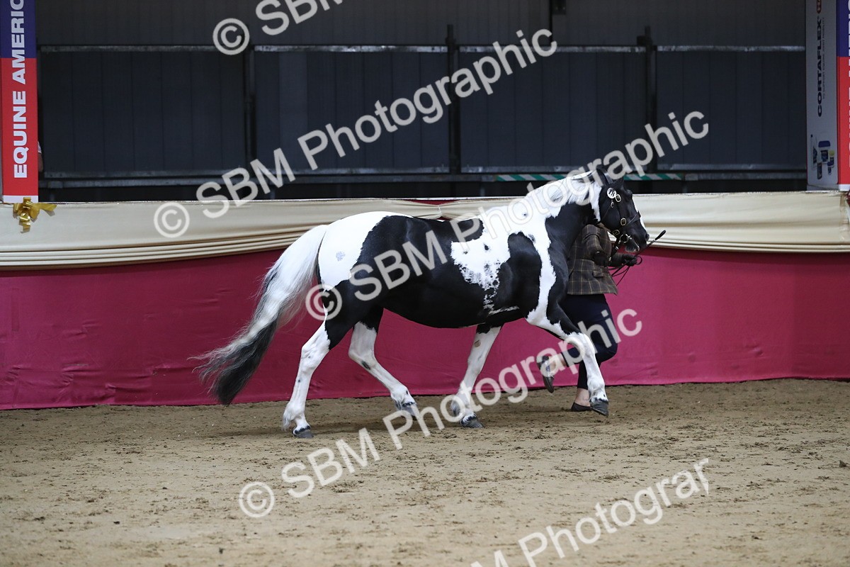 SBM_06310 - Class 9R Regional- IH Pre Vet