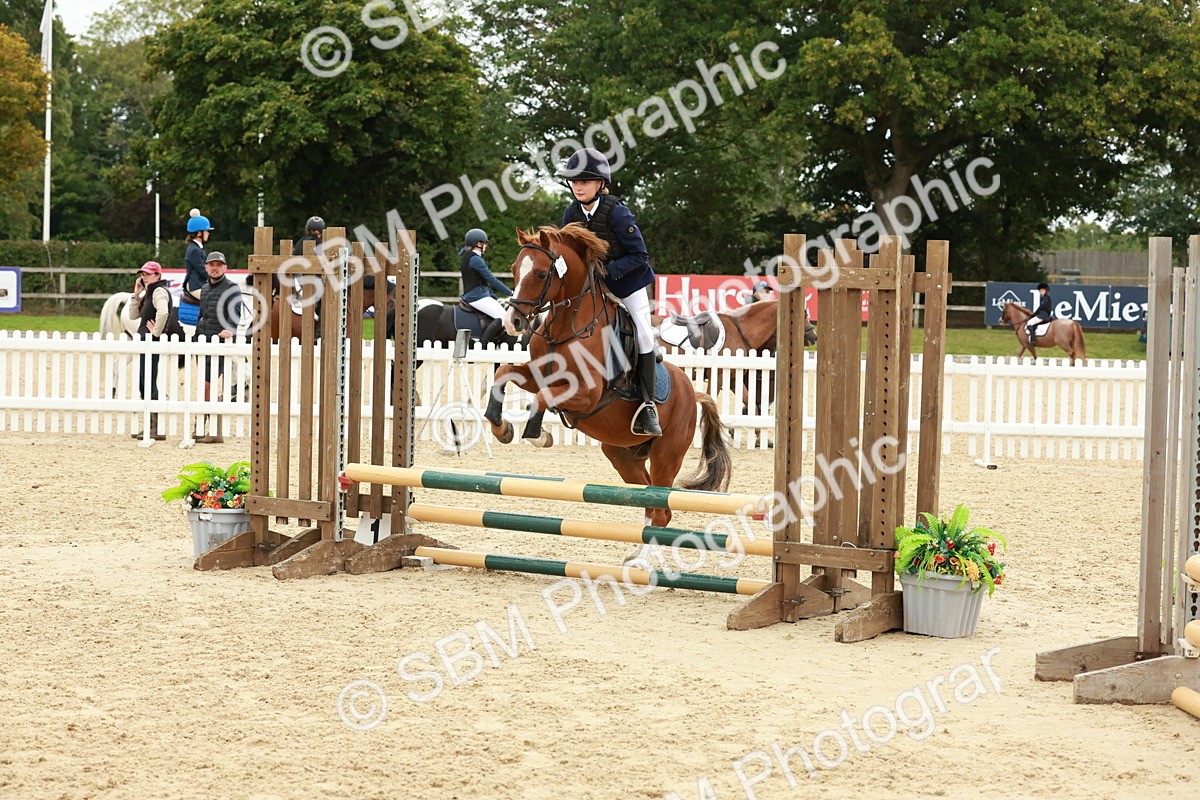 SBM_67177 - J13 - Junior Pony 60cm Championship