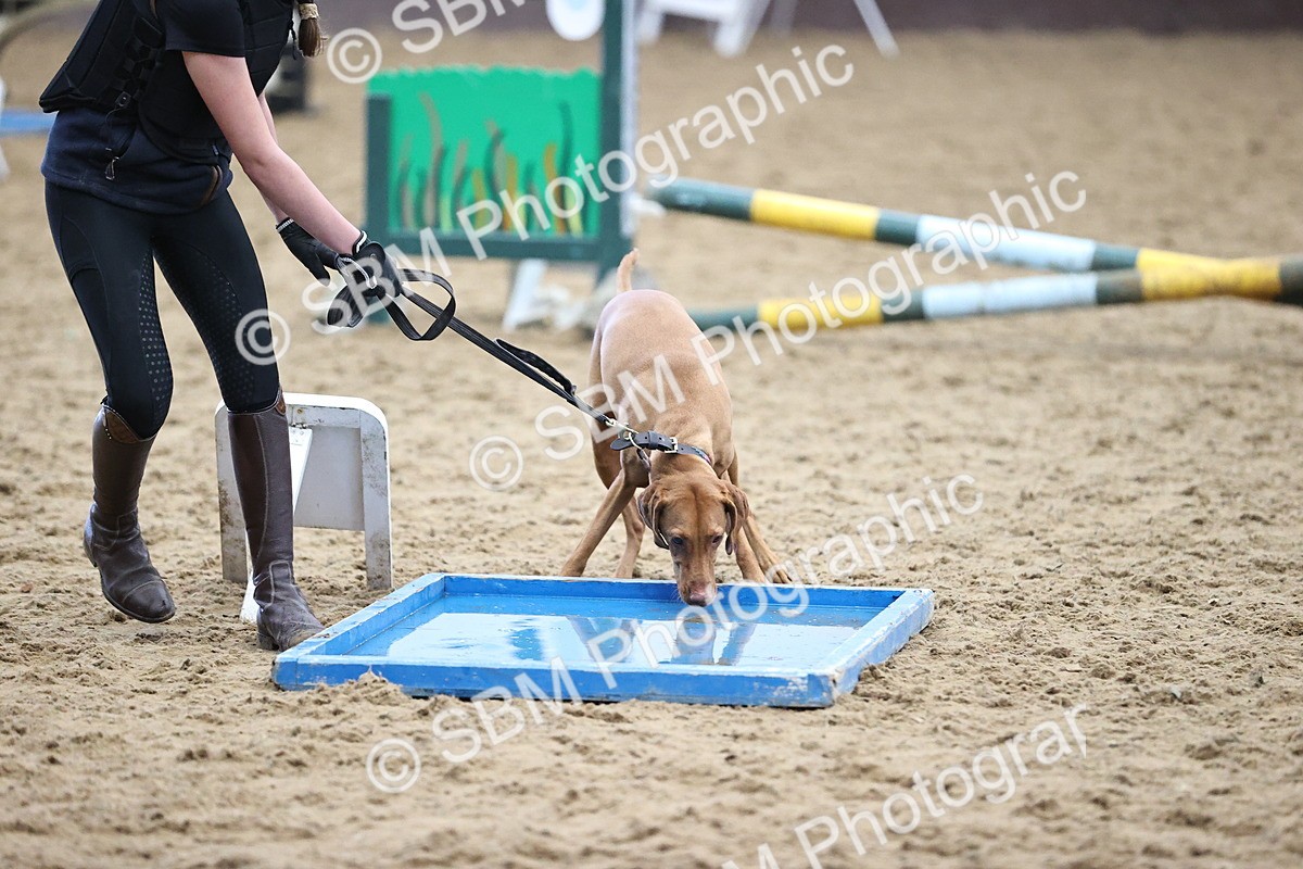 SBM_001290 - Class 3 - Horse & Hound 60cm