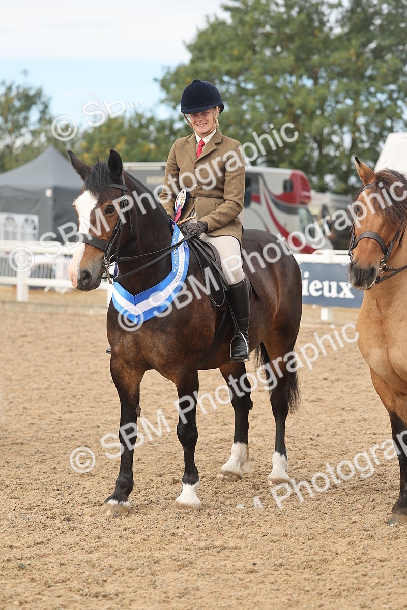 SBM_02020 - Class 14 - Ridden M&M Wildcard