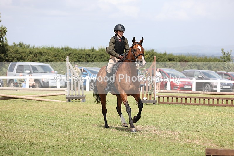 JPP_2061 - Class 19: Working Hunter 60cm