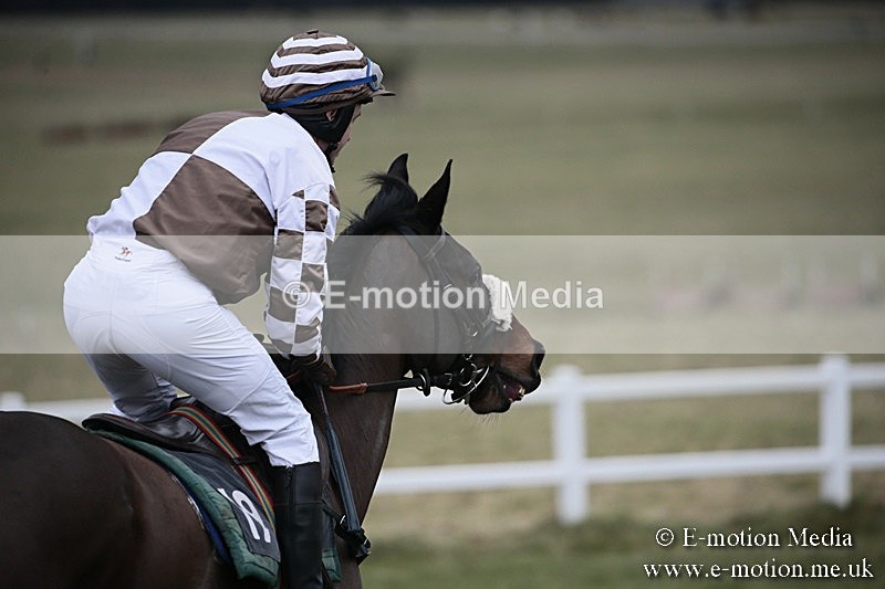 PtP 180218 357 - Combined Services Point-to-Point Larkhill 18/02/18