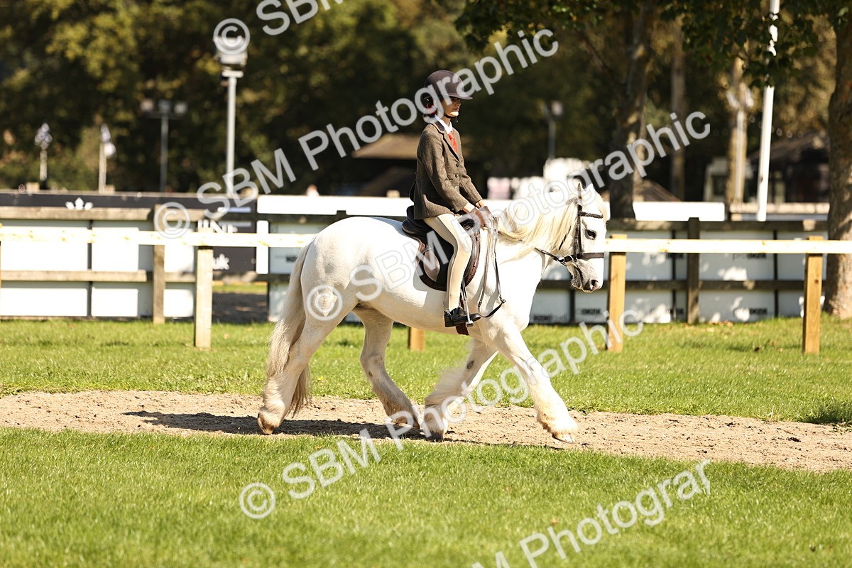 SBM_19324 - S3 - TSR Ridden Pony Showing
