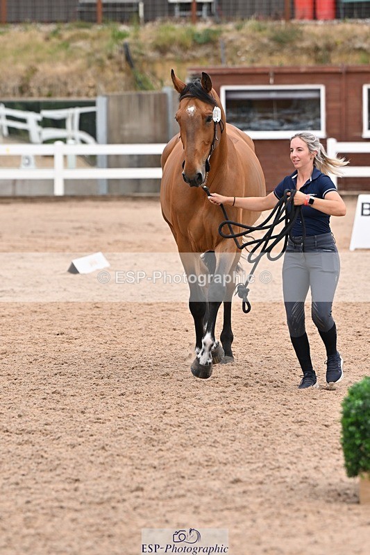 250716-143408-01209 - Trot Up 2.30 to 3.30