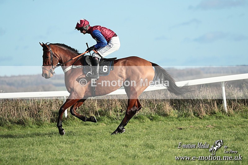 PtP 301125  0291 - Hursley Hambledon Point-to-Point Larkhill Racecourse 30/11/2025