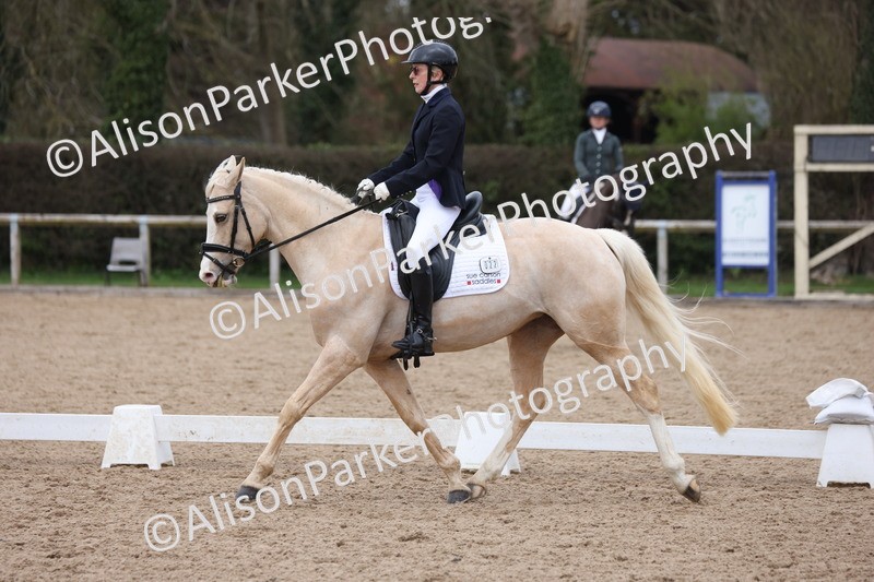 20260301-0462 - Class 3 - Novice 4