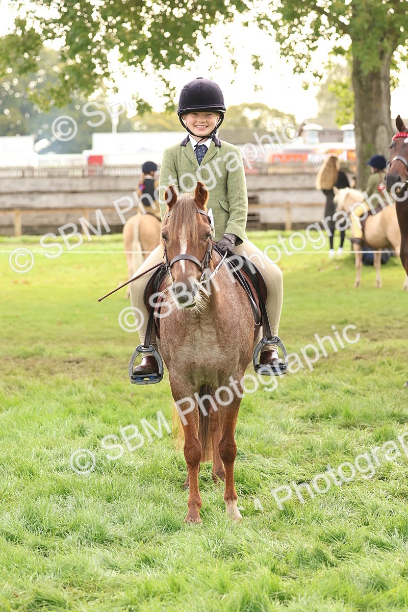 SBM_56648 - S40 - Starters Ridden Showing
