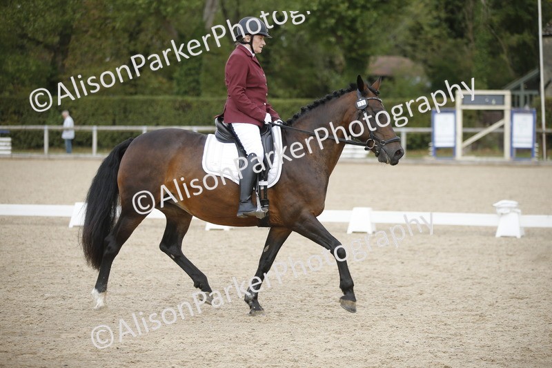 20260913-0328 - Class 3 - Novice 5
