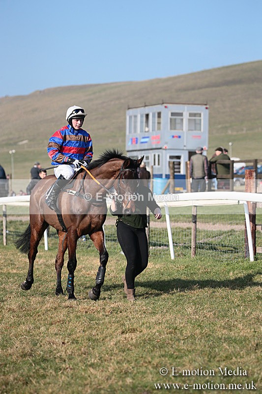 PtP 230219 367 - Vine & Craven Point-To-Point - Barbury 23/02/19