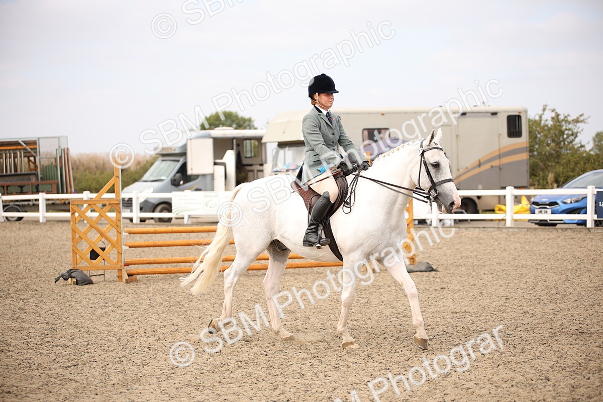 SBM_16147 - Class 409a - Working Veteran 80cm (15-19)