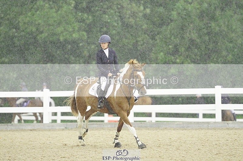 230729A-100148-04516 - Cls 20 British Novice & 90cm Open