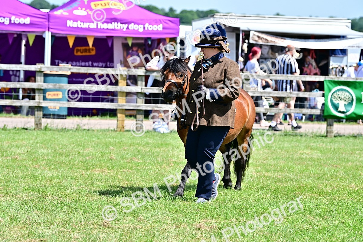 SBM_05898 - Class 59-60 - TSR M&M  Lear Rein and First Ridden Amateur of the year