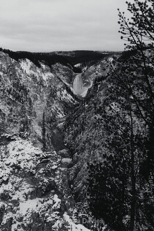  - Yellowstone