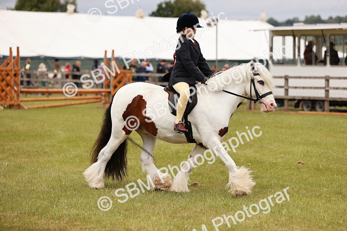 SBM_06229 - Class 39-41 TGCA In Hand and Ridden