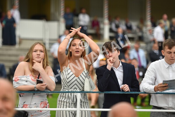 yr23072021r6-13 - Race 6 8.30pm Sky Bet Go-Racing-In-Yorkshire Summer Festival Stakes