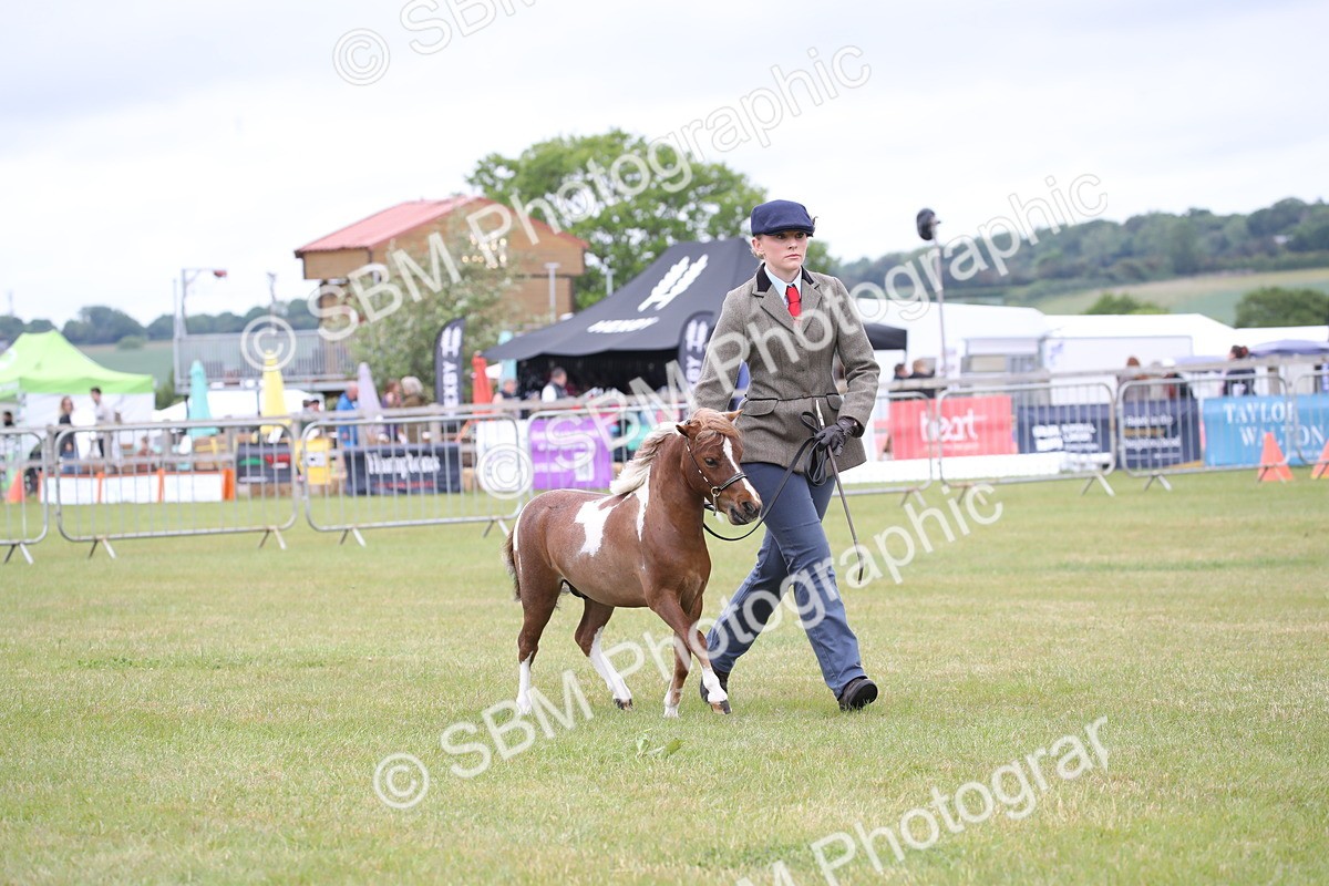 SBM_03505 - Class 23-25 - British Miniature Horse of the Year