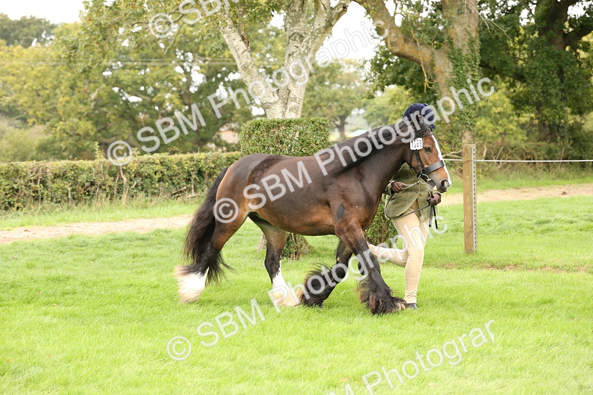 SBM_59277 - S57 - Traditional Cob In Hand
