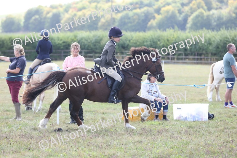 20250831-1251 - Class 15 - Ridden Veteran