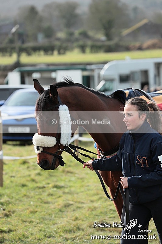 PtP 220225 400 - Kimblewick Point-to-Point  Kingston Blount 22/02/25
