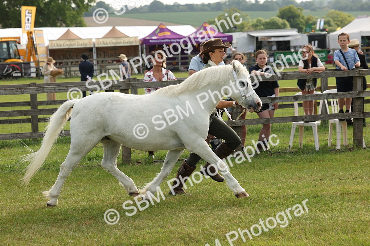 SBM_00508 - Class 6-13 - Mountatin and Moorland In Hand Welsh Breeds