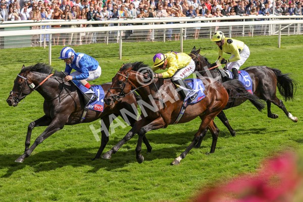 290723-Race 3-Alflaila-3855 - Race 3 3.15pm Sky Bet York Stakes (Group 2)