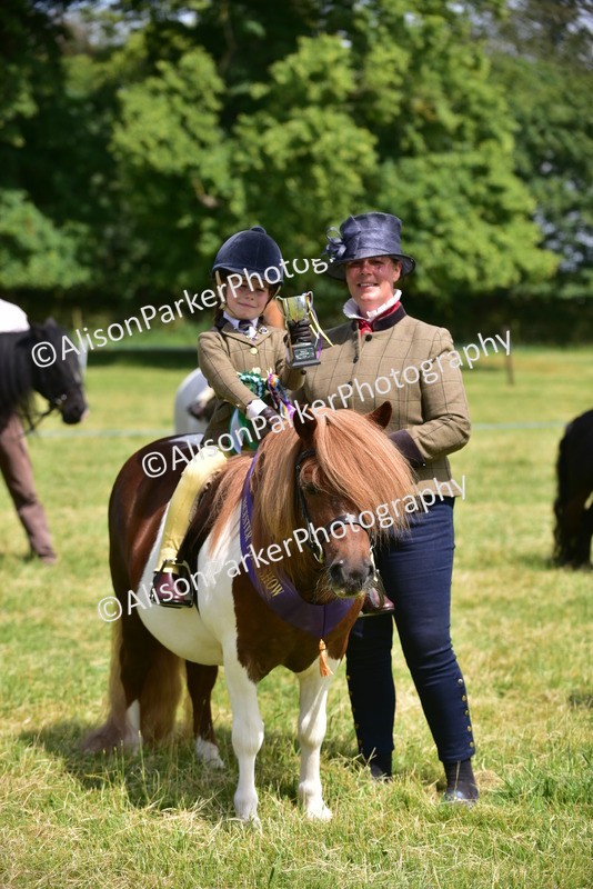 20260614-1296 - Class 11a - Lead Rein Pony (Unplaited)
