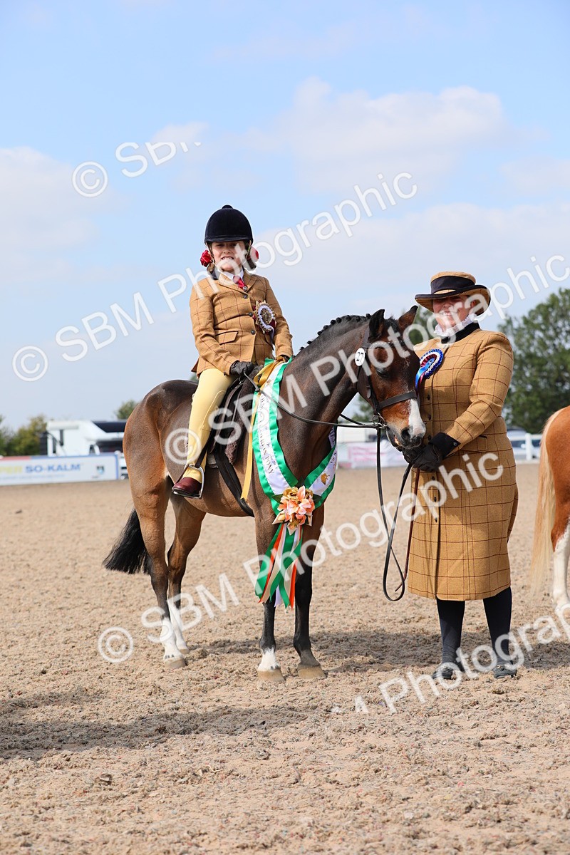 SBM_14101 - Class 309 Lead Rein Pony
