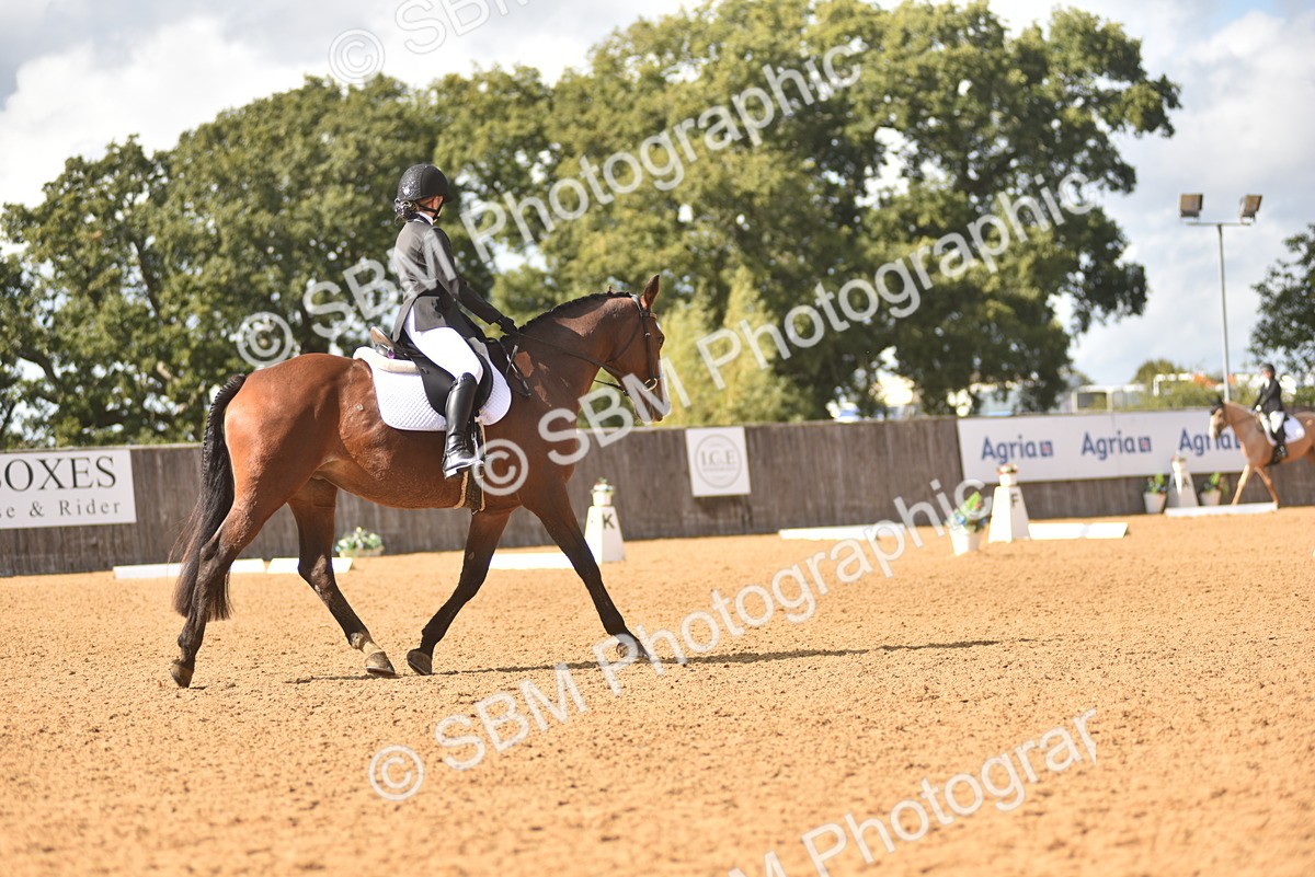 SBM_48738 - D22 - Junior Championship Intro 3