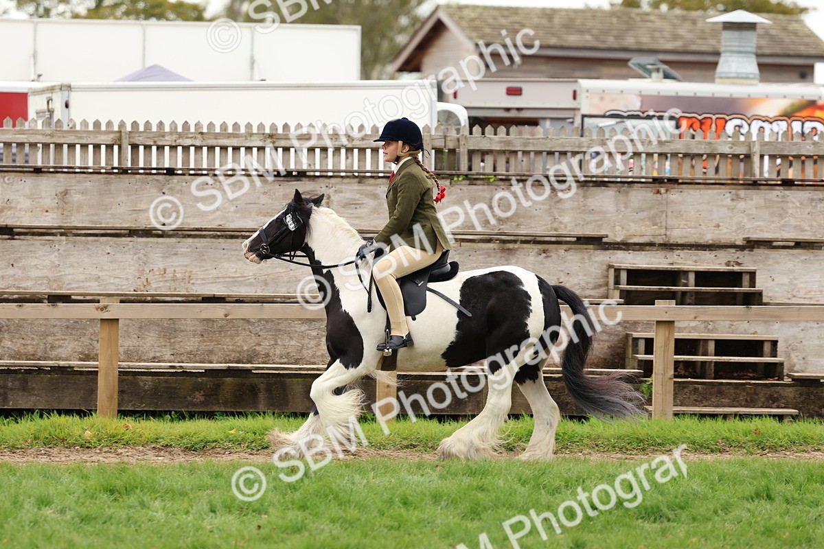 SBM_64515 - S58 - Coloured Pony Ridden