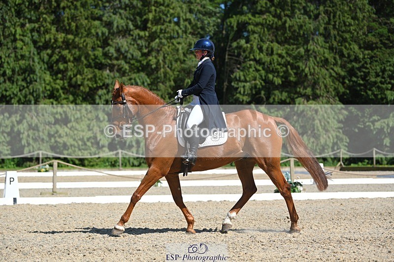 230526-155124-07193 - 251-CLASS_MOVE-Ellie_Healy-WEDTrotUp+DR