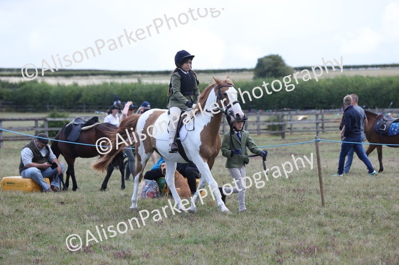 20250831-2402 - Class 16 - Family Pony