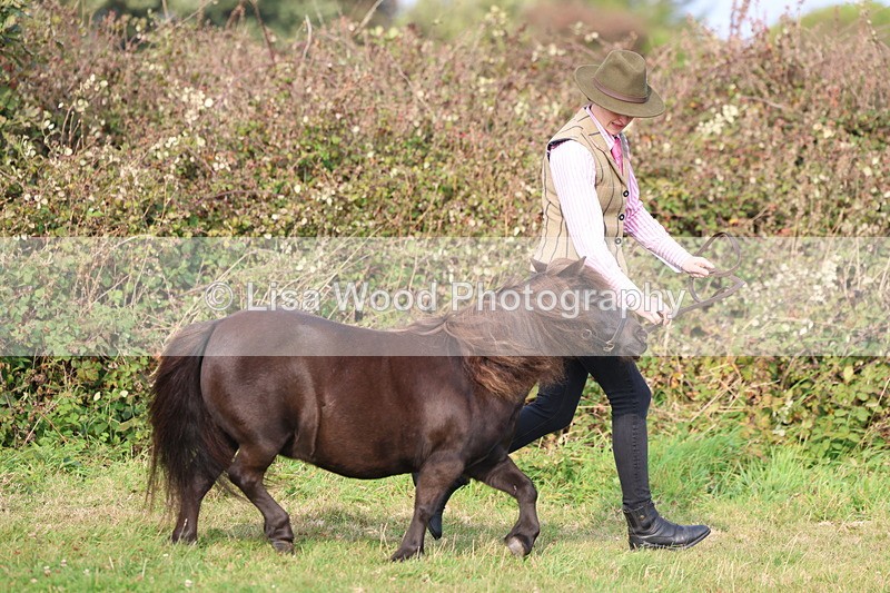 3E7A3167 - Class 12: M & M Small Breeds