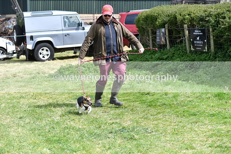 WJ5_0378 - Class 7 Best Terrier