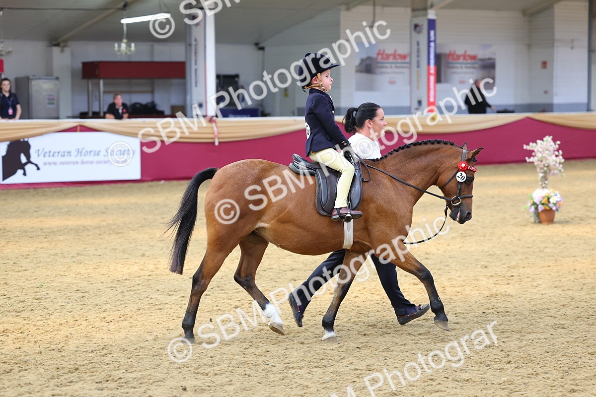 SBM_24001 - Class 905 - Supreme Final - Ridden Veteran