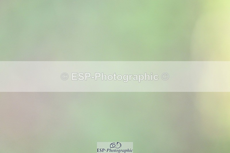 261014-115331-00309 - Cls 04 Senior 1.05m