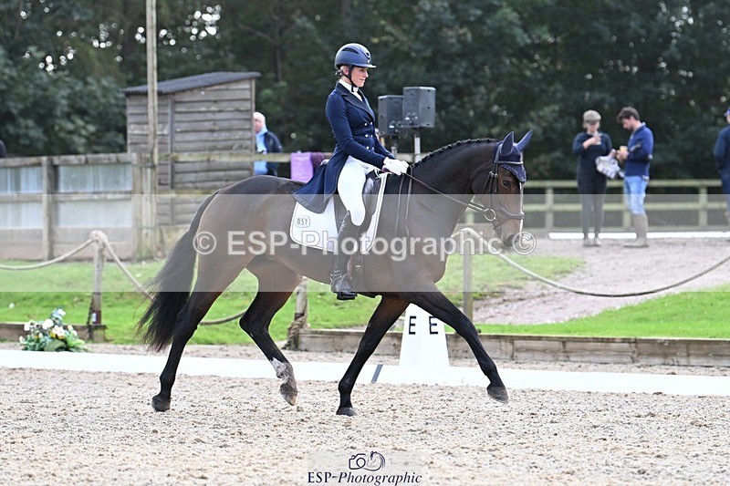 231019-145120-04293 - 057-OVERTON.TILANA'S.GOLD-Claire.Deuten-DR