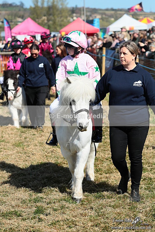 Shet 060426 98 - Shetland Pony Racing Paxford Races Easter Mon 06/04/26