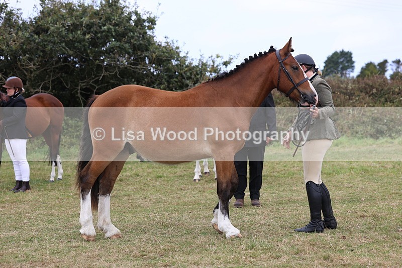 3E7A4194 - Class 15: Two Year Olds