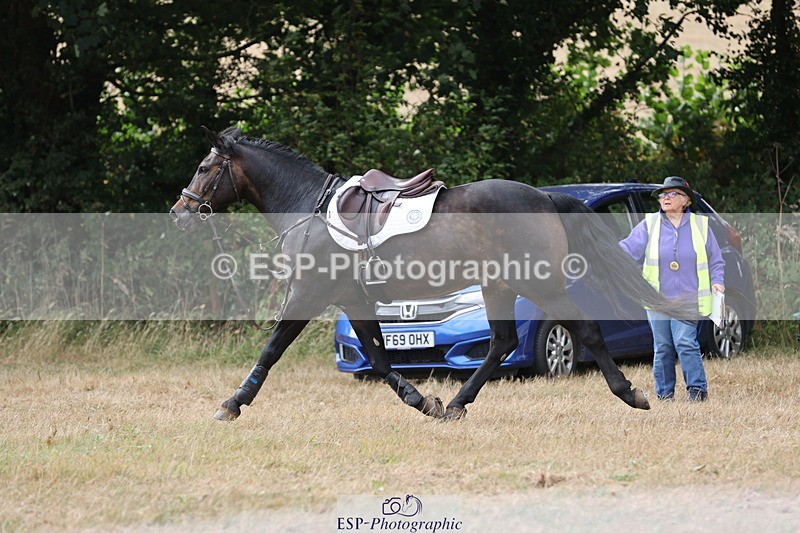 250824A-125920-36773 - 2053-Ava.Sampson-Chameleon