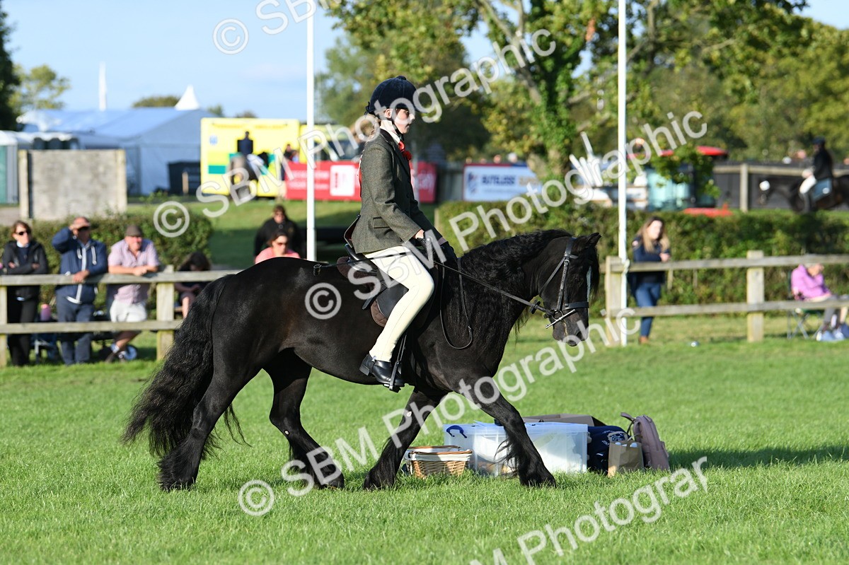SBM_54082 - S23 - 1st Ridden Mountain & Moorland Pony