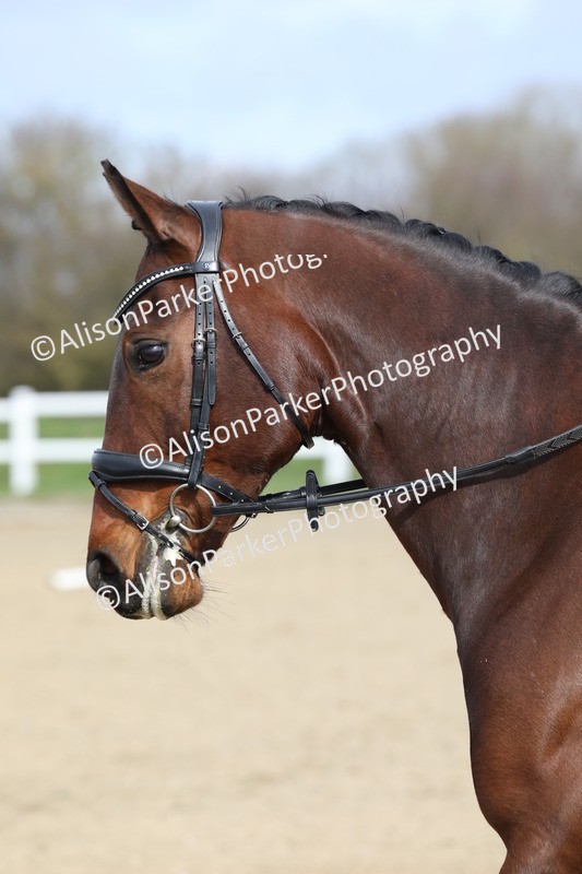 20260314-1882 - CT2 - Prelim 1