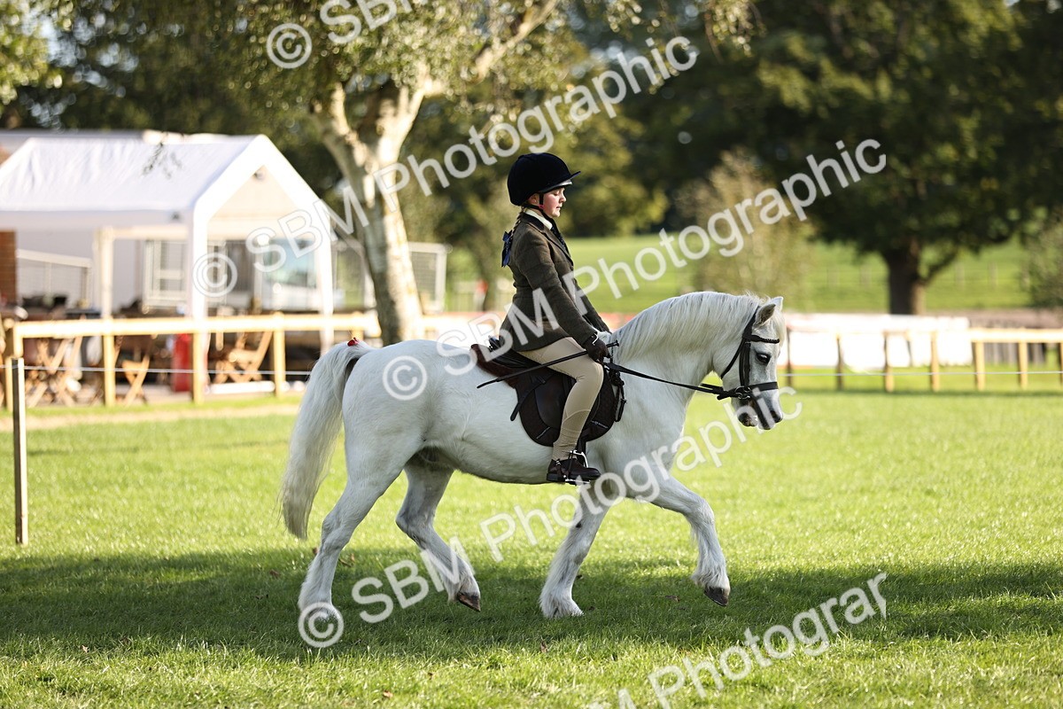 SBM_29319 - S7 - Novice & Newcomers Ridden Pony