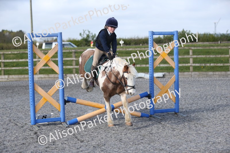 20260412-0066 - Show Jumping