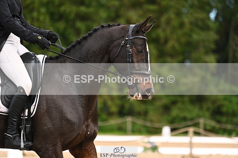 231020-163236-12308 - 303-JAMESON.II-Althea.Bleekman-DR