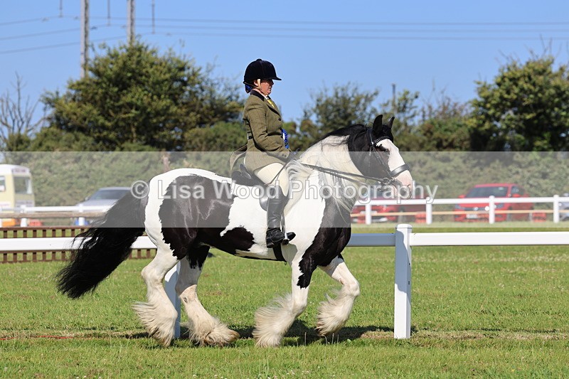 IMG_1616 - Class 30: Ridden Native/Trad Coloured Pony