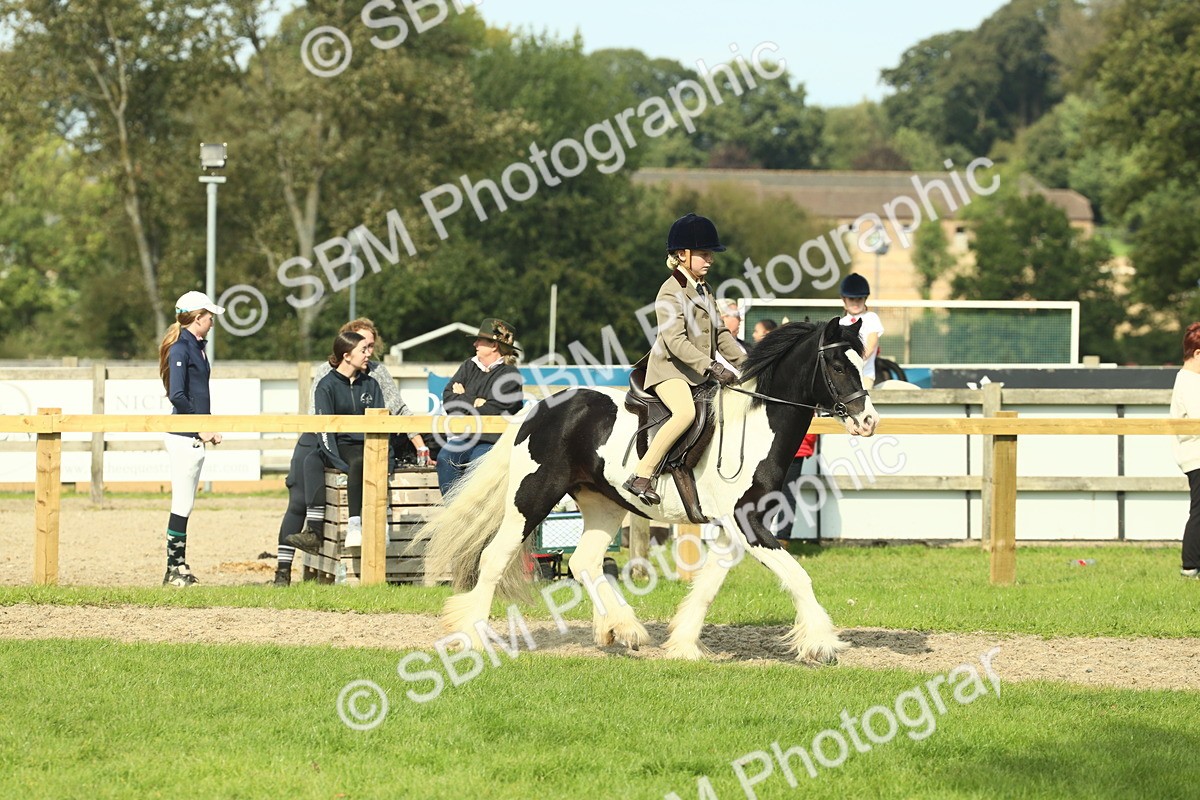 SBM_68895 - S58 - Mini Show Cob Ridden
